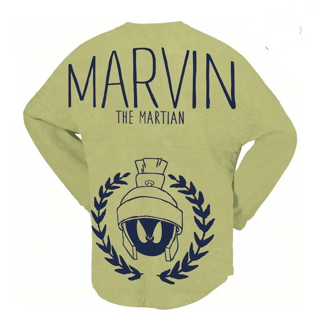 Looney Tunes x Spirit Jersey Unisex Marvin the Martian Mineral Wash Green Sz M
